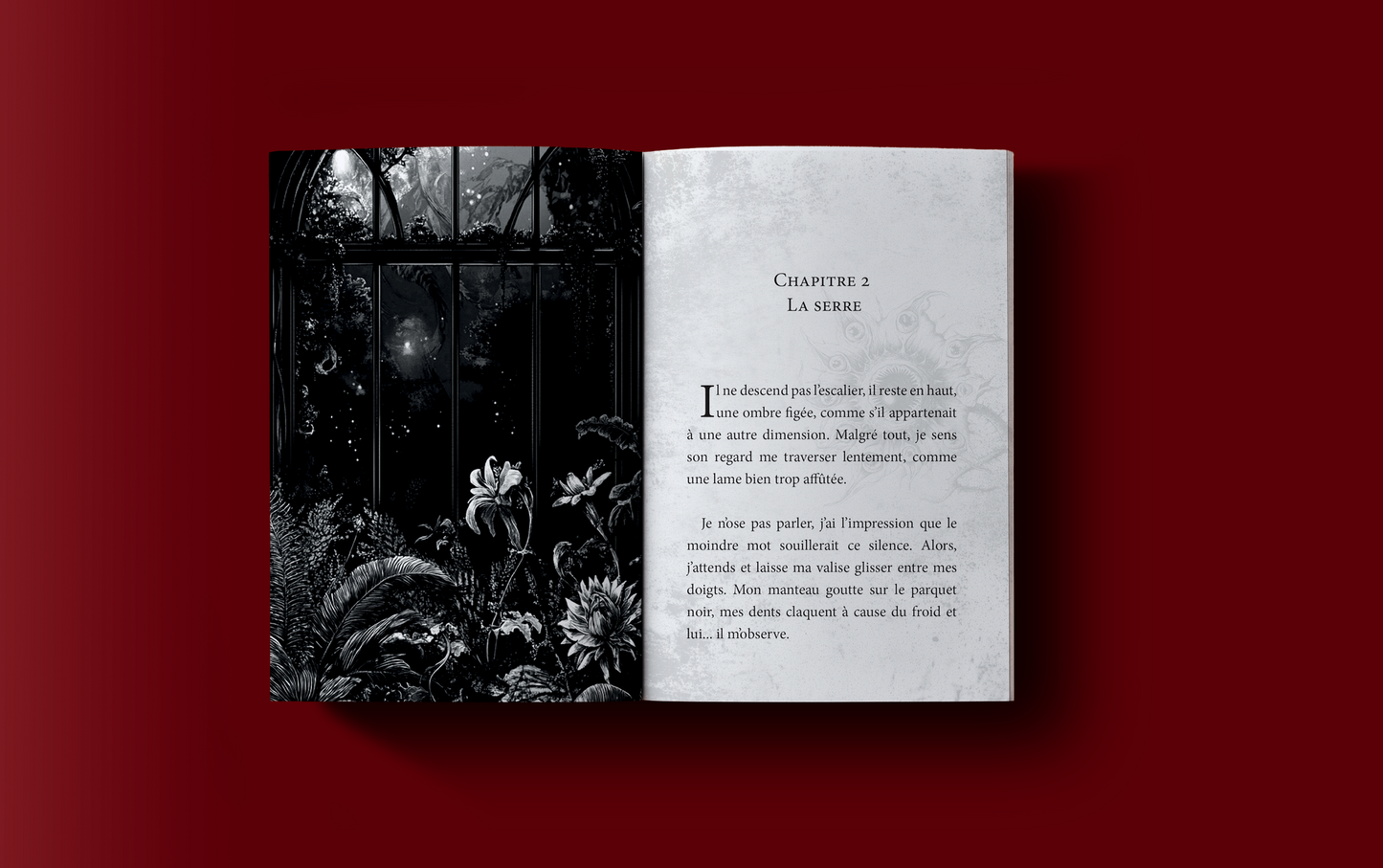 Le jardin des cendres ( Nouvelle illustrée )